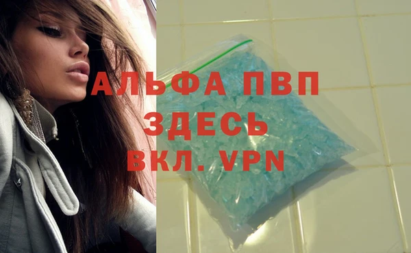 винт Арсеньев