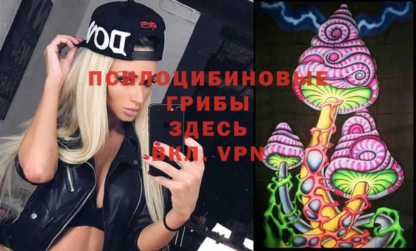 винт Арсеньев