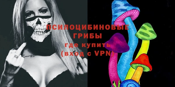 твердый Армянск